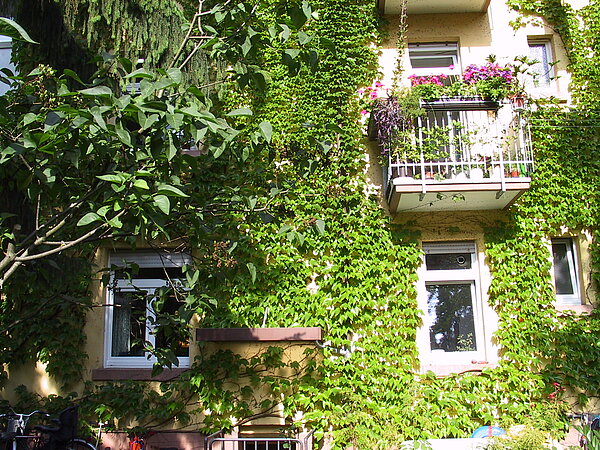 Das Bild zeigt einen begrünten Innenhof in der Renckstraße. 