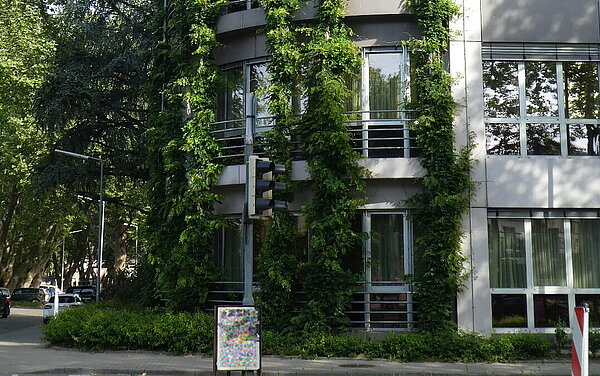 Das Bild zeigt die Fassadenbegrünung eines Bürogebäudes. 
