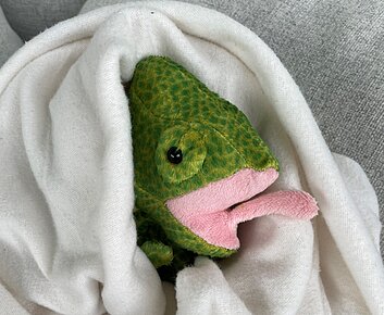 Stoffchamäleon in Decke gewickelt