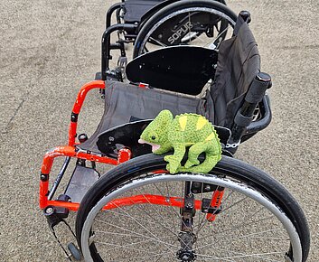 Stoffchamäleon stitzt auf Rollstuhl