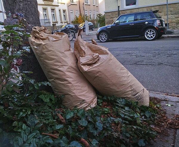 Blick auf Säcke mit Laub- und Gartenabfällen, die an einen Baum lehnen.