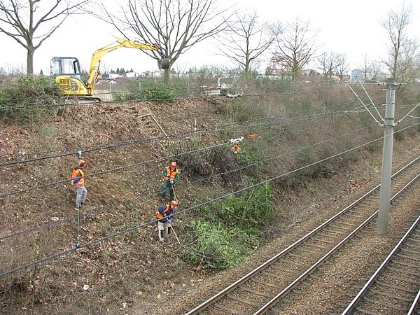 Das Bild zeigt Mitarbeiter des Gartenbauamtes bei Biotoppflegearbeiten an einer Gleisböschung. 