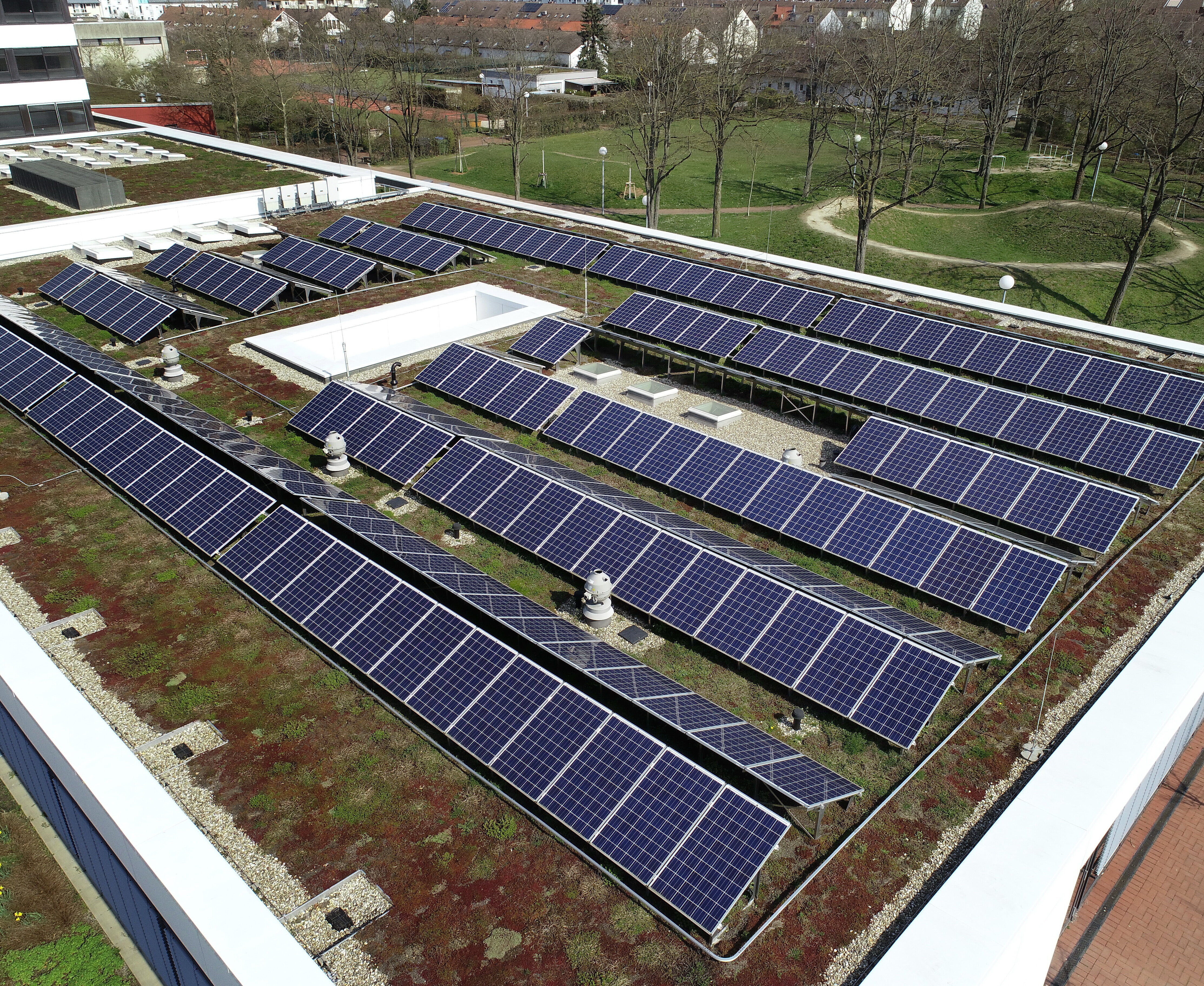 Die Photovoltaikanlage auf dem Gründach des Otto-Hahn-Gymnasiums in Karlsruhe