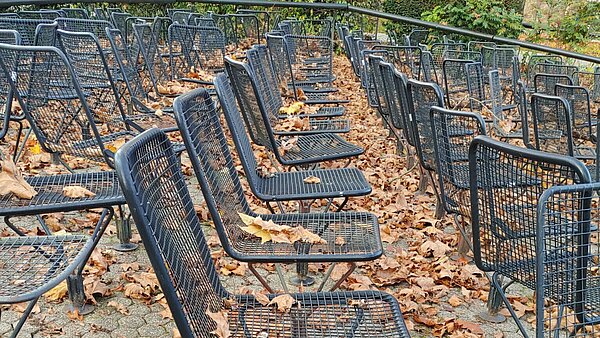 Das Bild zeigt eine Herbstimpression mit der Bestuhlung der Seebühne im Zoologischen Stadtgarten.