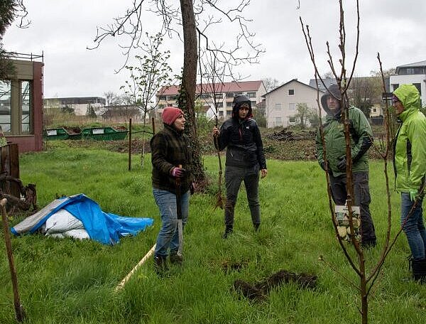Besprechung Standorte Baumpflanzung