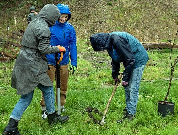Gärtner heben Loch aus im Regen für Baum