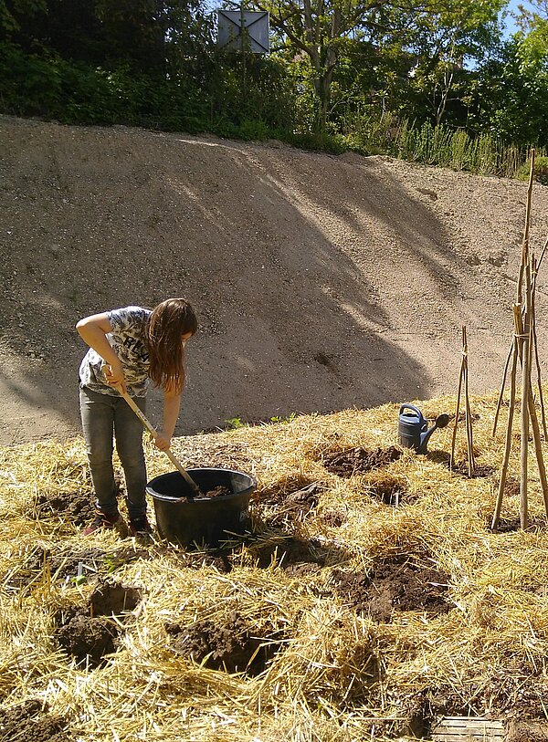 Gärtner pflanzen in Stroh und sähen Samen aus
