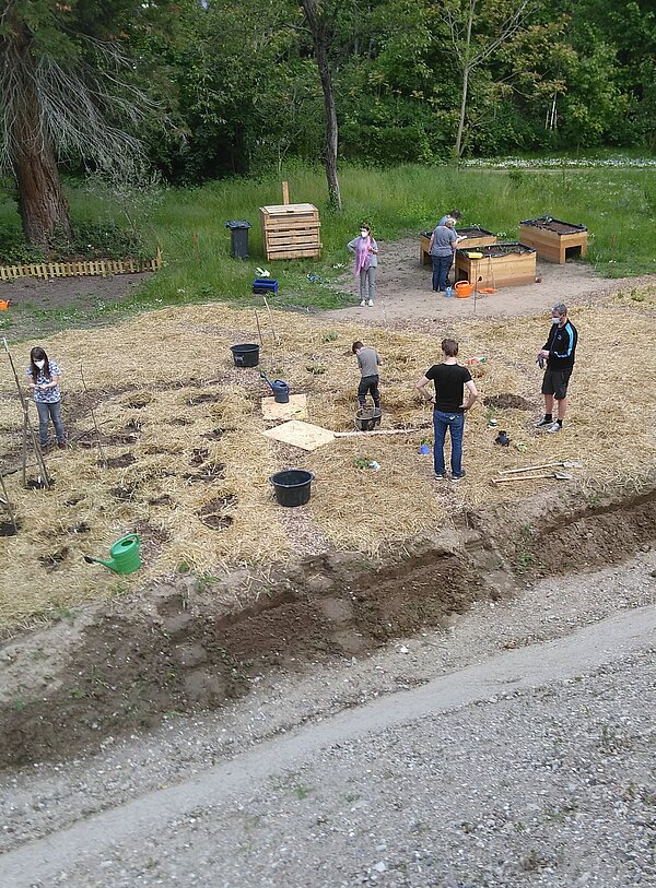 Gärtner pflanzen in Stroh
