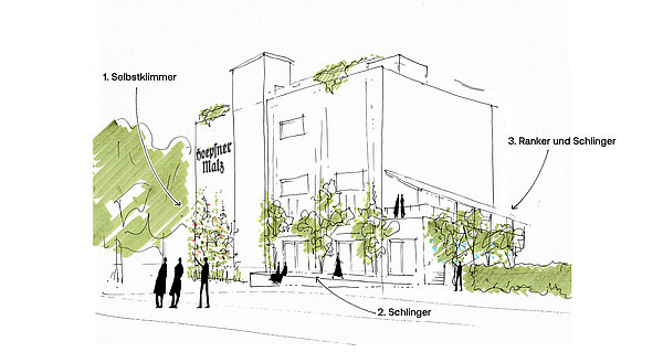 Skizze Malzturn mit geplanter Begrünung