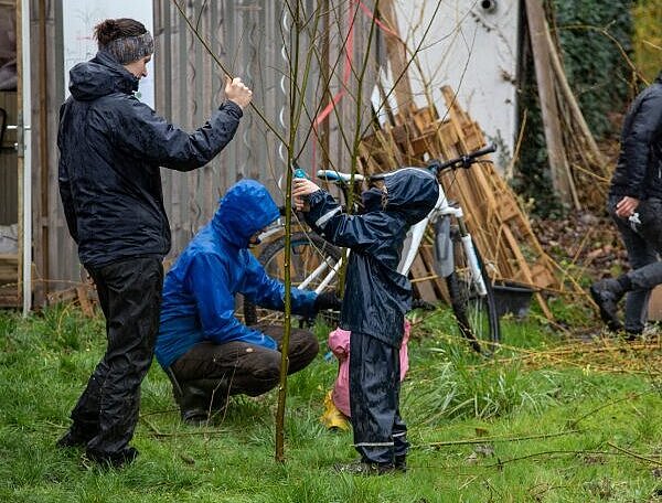 Beschneidung eines Baumes