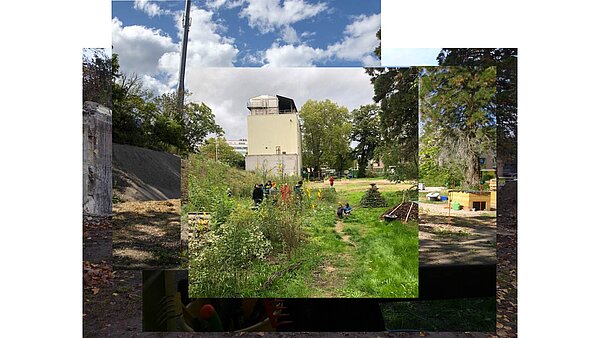 Collage Nachher Fotos