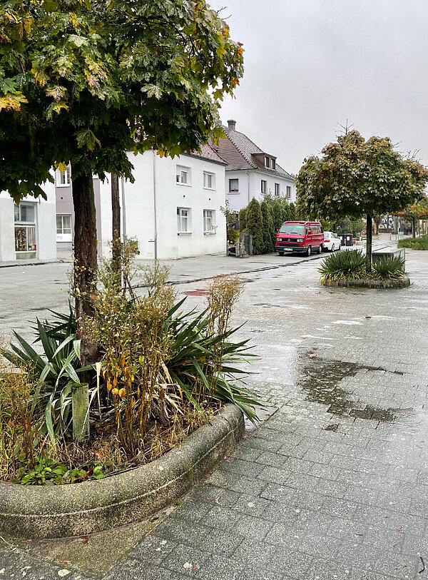 Gehweg mit zwei Bauminseln. Hausreihe mit Autos im Hintergrund