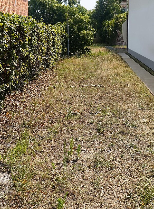 Trockener Grünstreifen zwischen zwei Häusern