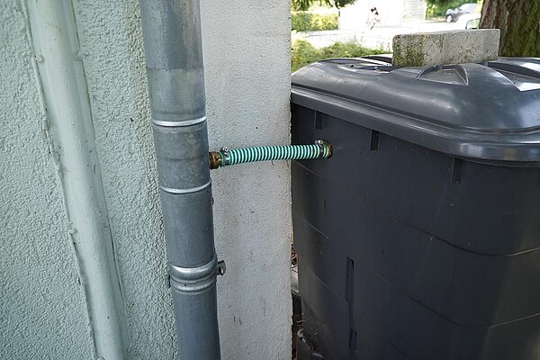Regenrohr an Hauswand verbunden mit einem Schlauch zu einer Regentonne