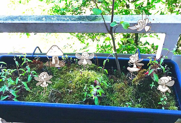 Das Foto eines Balkonkastens mit verschiedenen Moosen und Bäumchen ist ergänzt mit einer Illustration von Feen, die darin herumfliegen.