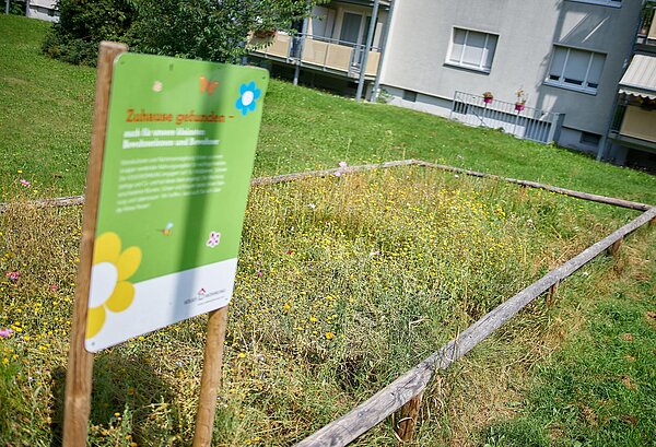 Bluehwiese mit Schild