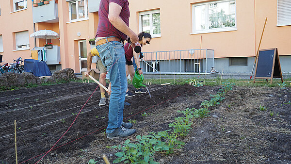 Feld abstecken mit Schnur, Gartenfläche vor Wohnhaus im Hintergrund
