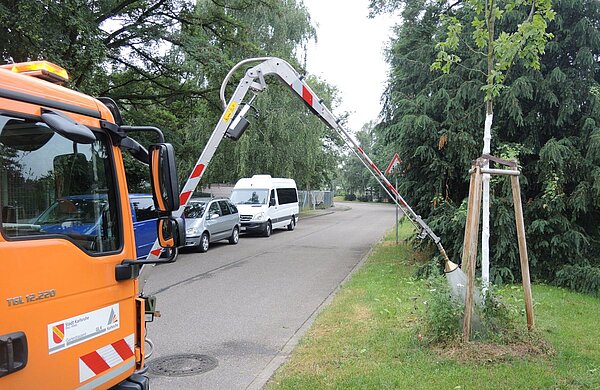 Das Bild zeigt ein Bewässerungsfahrzeug mit Teleskoplanze beim Bewässern eines Jungbaumes. 