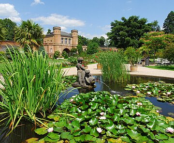 Das Bild zeigt einen Becken mit Wasserpflanzen im Botanischen Garten mit Wasserpflanzen.