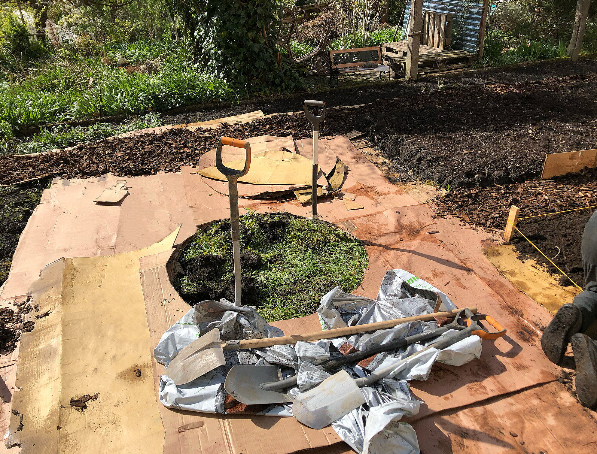 Karton liegt auf dem Boden um ein Loch herum. Spaten stecken in der Erde im Loch