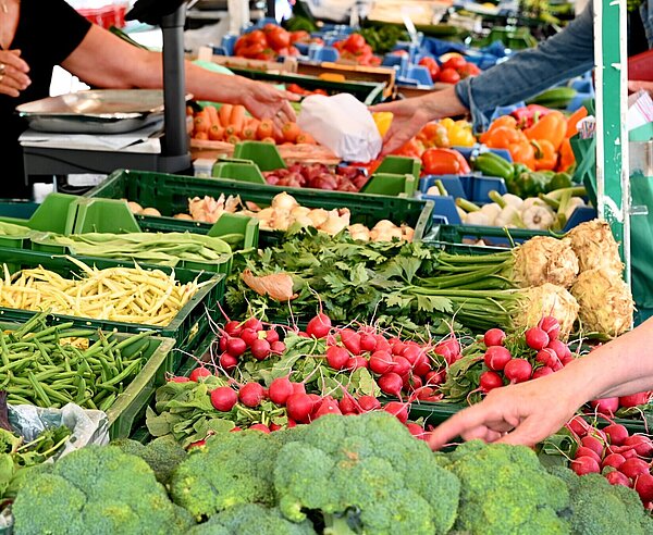 Ein Marktstand auf dem Stephanplatz mit frischem Gemüse