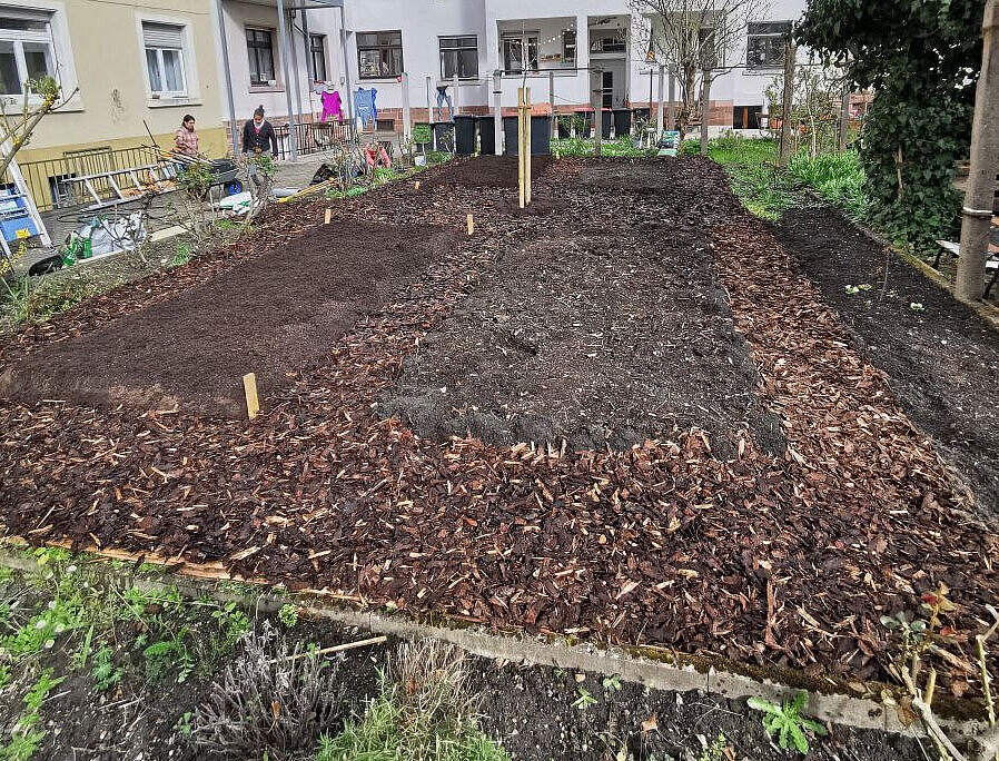 Vier Gartenbeete mit frisch auferlegter Erde und Rindenmulch drumherum.