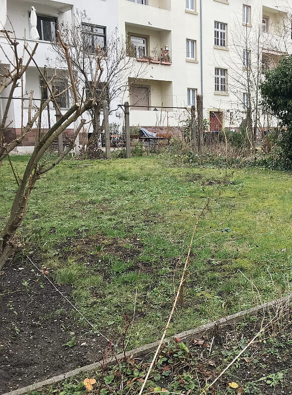 Rasenfläche im Hinterhof mit winterlichem Rosenstrauch im Vordergrund und Fassaden im Hintergrund.