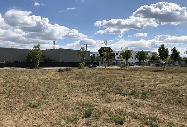 Brache in Industriegebiet