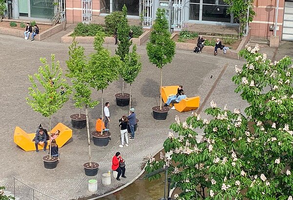 Kronenplatz mit Enzimöbeln und Bäumen