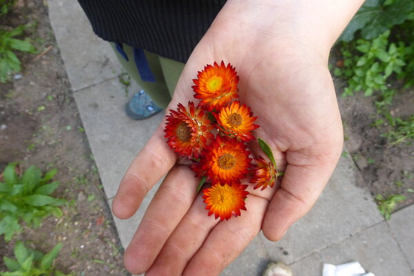 Kind mit Blumen in der Hand