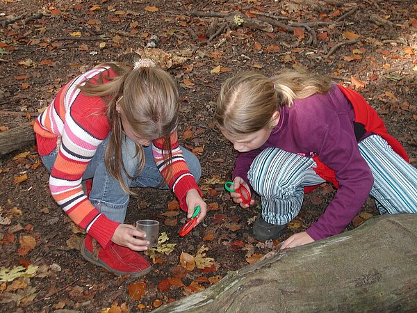 Zwei Mädchen, die mit euer Lupe den Waldboden erkunden