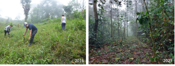 Ehemalige Weidefläche 