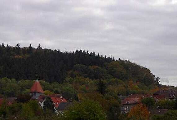 Abbildung eines Teils von Wolfartsweier im Herbst.