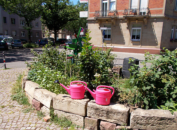 Zwei pinke Gießkannen auf Mauer eines Hochbeets in der Gerwigstraße in Karlsruhe.