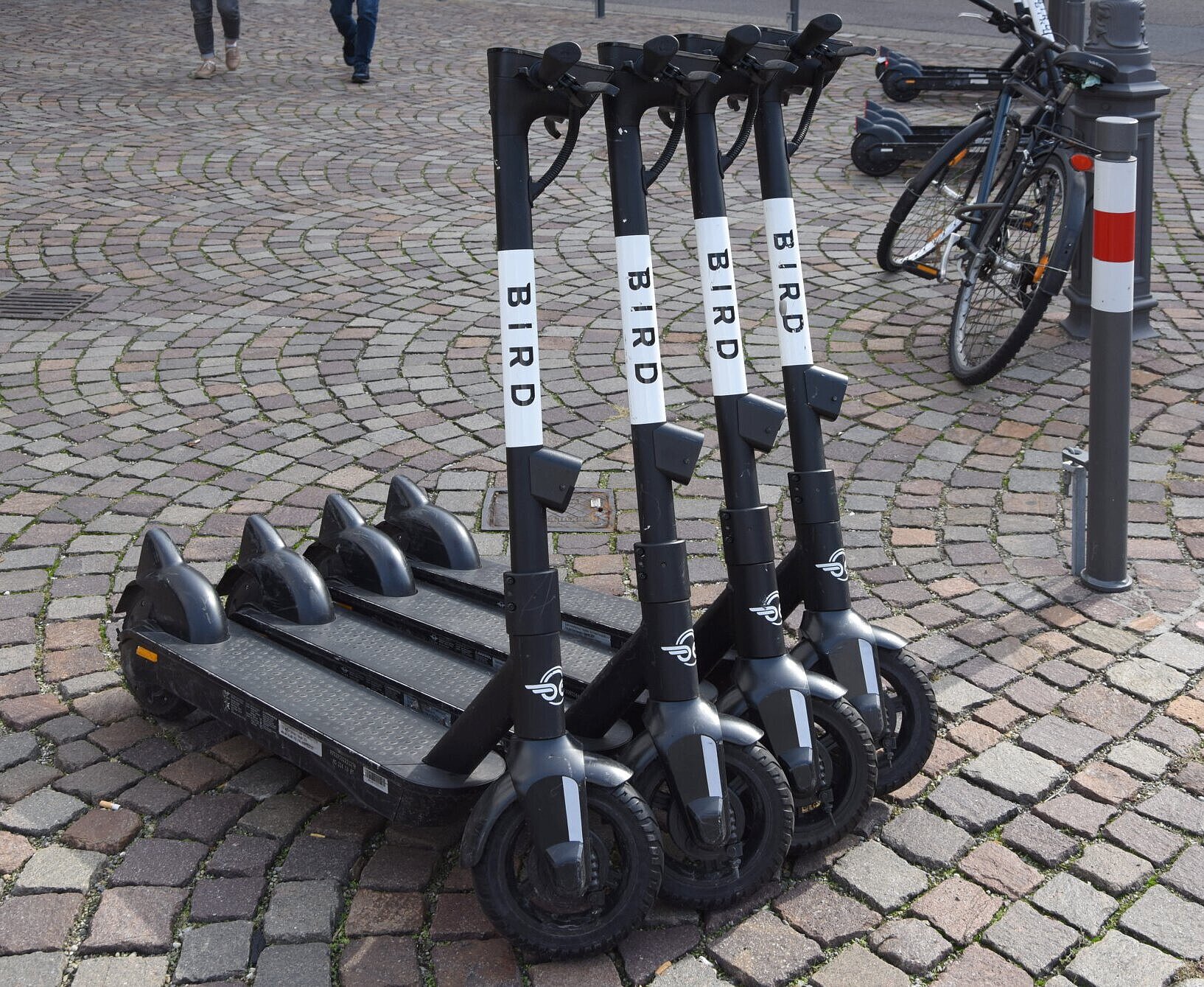 Vier Elektroroller parken nebeneinander. 