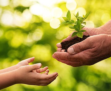 Zwei Handpaare die sich ein Pflänzchen übergeben