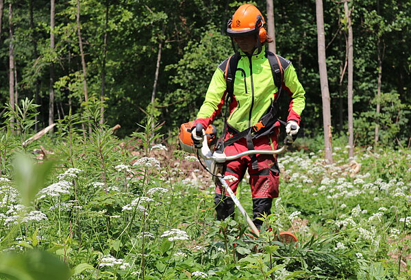 Azubi trimmt eine Wiese