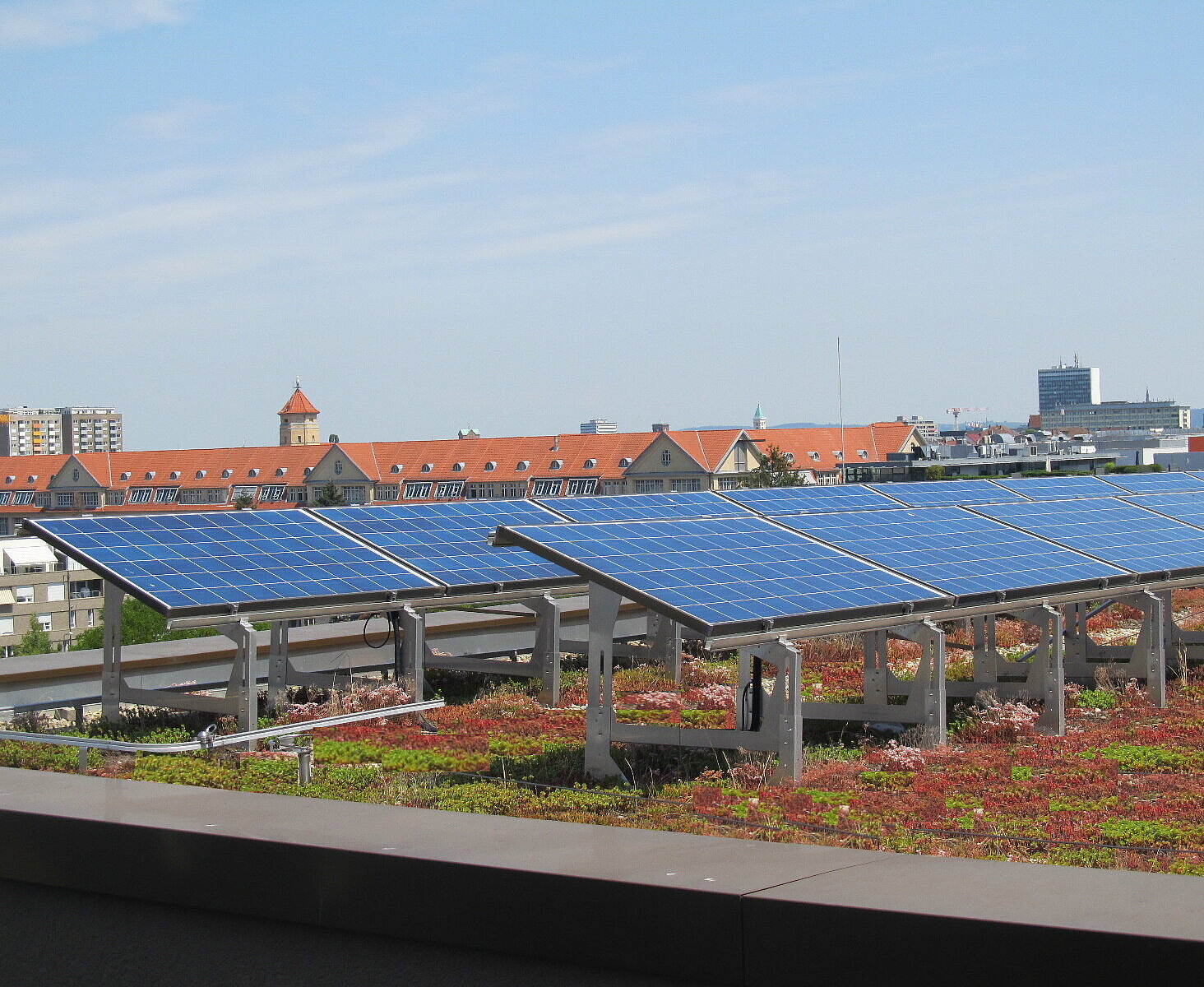Das Bild zeigt ein Dach mit einer Dachbegrünung und einer Photovoltaikanlage. 