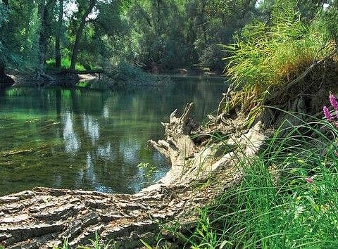 Stadt der Biologischen Vielfalt