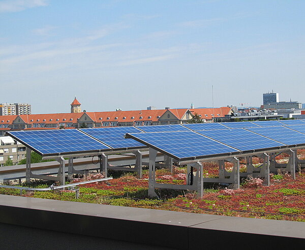 Das Bild zeigt ein Dach mit einer Dachbegrünung und einer Photovoltaikanlage. 